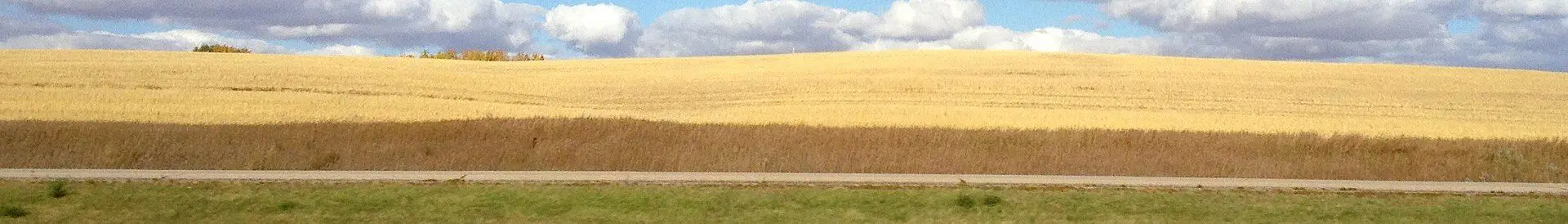 Autumn fields along Highway 11