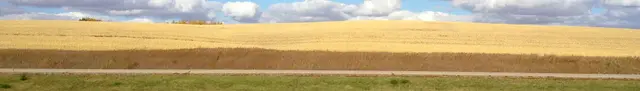 Autumn fields along Highway 11